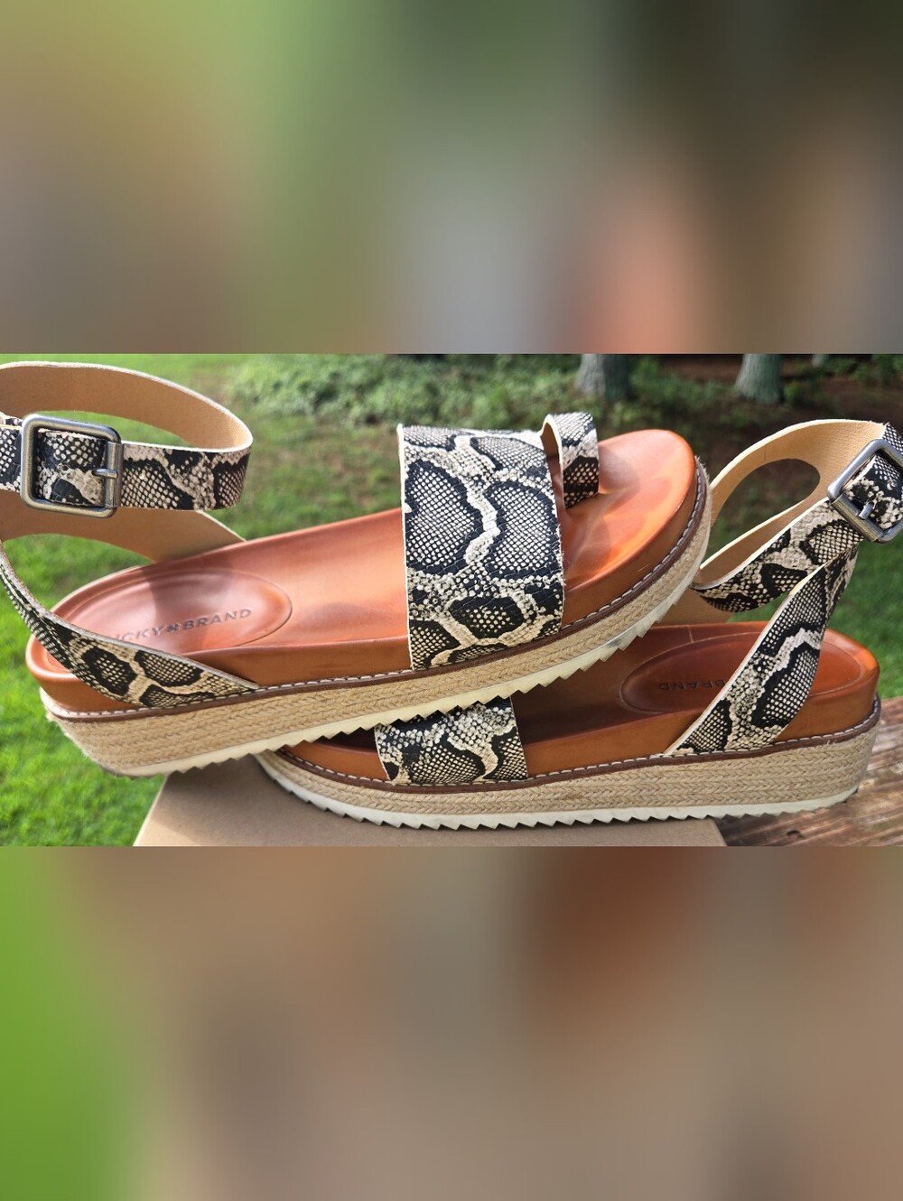Lucky Brand Snake Print Sandals - Picture 4 of 4
